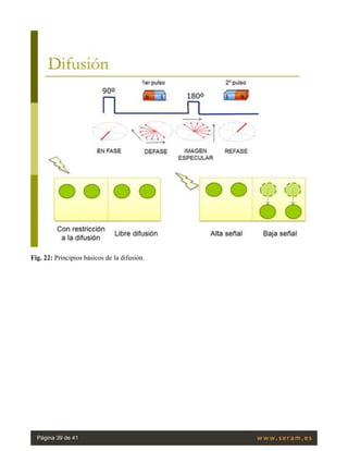 Fig. 22: Principios básicos de la difusión.
Página 39 de 41
 