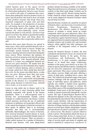 International Journal of Trend in Scientific Research and Development @ www.ijtsrd.com eISSN: 2456-6470
@ IJTSRD | Unique Paper ID – IJTSRD52247 | Volume – 6 | Issue – 6 | September-October 2022 Page 2134
walled bacteria grow in the spaces [21,22]
between cells and do not invade them. The means
by which plant pathogenic bacteria cause disease
is as varied as the types of symptoms they cause.
Some plant pathogenic bacteria produce toxins or
inject special proteins that lead to host cell death
or they produce enzymes that break down key
structural components of plant cells and their
walls. An example is the production of enzymes
by soft-rotting bacteria that degrade the pectin
layer that holds plant cells together. Still others
colonize the water-conducting xylem vessels
causing the plants to wilt and die. Agrobacterium
species even have the ability to genetically modify
or transform their hosts and bring about the
formation of cancer-like overgrowths called crown
gall.
Bacteria that cause plant diseases are spread in
many ways—they can be splashed about by rain or
carried by the wind, birds or insects. People can
unwittingly spread bacterial diseases by, for
instance, pruning infected orchard trees during the
rainy season. Water facilitates the entrance of
bacteria carried on pruning tools into the pruning
cuts. Propagation with bacteria-infected plant
material is a major way pathogenic bacteria are
moved over great distances. No matter how the
bacterial pathogens are disseminated, they require
a wound or natural opening, such as stomata, to
get inside a plant host. Once inside they then kill
host cells, by the means described above, so that
they can grow. Between hosts they may grow
harmlessly on plant surfaces and then can
overwinter or survive unfavorable environmental
periods or the absence of a susceptible host by
either going dormant in infected tissue, infested
soil or water, or in an insect vector.
Losses in crop yields due to disease need to be
reduced in order to meet increasing global food
demands associated with growth in the human
population. There is a well-recognized need to
develop new environmentally friendly control
strategies to combat bacterial crop disease. Current
control measures involving the use of traditional
chemicals or antibiotics are losing their efficacy due
to the natural development of bacterial resistance to
these agents. In addition, there is an increasing
awareness that their use is environmentally
unfriendly. Bacteriophages, the viruses of bacteria,
have received increased research interest in recent
years as a realistic environmentally friendly means of
controlling bacterial diseases. Their use presents a
viable control measure for a number of destructive
bacterial crop diseases, with some phage-based
products already becoming available on the market.
Phage biocontrol possesses advantages over chemical
controls in that tailor-made phage cocktails can be
adapted to target specific disease-causing bacteria.
Unlike chemical control measures, phage mixtures
can be easily adapted for bacterial resistance which
may develop over time.
Bacterial diseases of plants are caused by six genera
of bacteria, that is, Agrobacterium, Corynebacterium,
Erwinia, Pseudomonas, Streptomyces, and
Xanthomonas. The effective control of bacterial
diseases in orchards is mostly based on cooper
compounds which can cause phytotoxic effect, also
some fungicides and different antibiotic preparations.
The protection against bacterial diseases requires a
new approach based on natural compounds (including
botanical extracts and essential oils) and resistance
inducers which applied with other substances can
contribute to the integrated control of bacterial
diseases
Among the bacterial diseases of plants, the most
widespread and destructive losses are caused by the
Gram-negative bacteria of the genus, Erwinia,
Pseudomonas, and Xanthomonas. The genus
Xanthomonas is of great economic importance
because of its broad host range. Collectively,
members of the genus cause disease on at least 124
monocot species and 268 dicot species, including fruit
and nut trees,[23] solanaceous and brassicaceous
plants, and cereals. They cause a varietyof symptoms
like cankers, necrosis, blight, and spots, affecting a
variety of plant parts, including leaves, stems, and
fruits. The collectively broad host range of the genus
contrasts strikingly with the typically narrow host
range of individual species and pathovars, which
typically also exhibit a marked tissue specificity,
infecting either through stomates to colonize the
intercellular spaces of the mesophyll parenchyma, via
hydathodes (water pores at the leaf margin), or via
wounds to spread systemically through the vascular
system. The type of physiological function that is
affected first depends on the cells and tissues of the
host plant that become infected. Thus, the infection of
xylem vessels interferes with the translocation of
water, leading to vascular wilts and cankers, whereas
infection of foliage interferes with the photosynthetic
process as in leaf spots, blights, and pustules. Angular
leaf-spot disease of cotton is caused by X. campestris
pv. malvacearum. The disease is present wherever
cotton is grown. The bacterium attacks the leaves as
well as young cotton bolls. In rice, X. campestris pv.
oryzae causes leaf blight disease. Bacterial blight or
stripe of several cereals and streak of sorghum and
maize is caused by X. campestris pv. translucens. X.
 