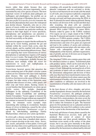 International Journal of Trend in Scientific Research and Development @ www.ijtsrd.com eISSN: 2456-6470
@ IJTSRD | Unique Paper ID – IJTSRD52247 | Volume – 6 | Issue – 6 | September-October 2022 Page 2136
insects rather than plants because they can
successfully colonize, and more importantly, can be
transmitted by only a few species of insects. The most
important vectors of mollicute plant pathogens are
leafhoppers and planthoppers, but psyllids are an
important third group of Hemiptera that are vectors.
The pear psylla (Cacopsylla pyricola) transmits the
pear decline phytoplasma that causes the widespread
pear decline disease. Typically, only one or a few
species of insects within one of these families have
been shown to transmit any particular mollicute. In
contrast to their high degree of vector specificity,
phytoplasmas and spiroplasmas can parasitize a
typically wide range of plant species if the vectors
can feed successfully on the plants.
Transmission appears to require that the mollicutes be
taken up by vector feeding, penetrate the gut and
multiply within the vector's body cavity, enter the
salivary glands, and be expelled with saliva during
vector feeding into functioning phloem tissues. Thus,
it not surprising that vector transmission of various
phytoplasmas or spiroplasmas requires a LP ranging
from 1 to over 4 weeks. The length of the LP may be
very sensitive to temperature, probably because the
mollicutes must multiply within the vector for
transmission to occur and multiplication is
temperature sensitive.[26,27]
Vector-borne bacterial species that parasitize the
water-conducting part of the plant's vascular system
(xylem) are less numerous but cause some important
plant diseases. One such pathogen is Xylella
fastidiosa, best known as the cause of Pierce's disease
of grapes, but other strains of this bacterium cause
important other diseases of citrus, coffee, peach, and
other crop and forest plants. Sucking insects in
several families that feed primarily on xylem sap are
Xylella vectors. This includes sharpshooter
leafhoppers in the subfamily Cicadellinae of the
leafhopper family Cicadellidae and spittlebugs
(family Cercopidae). Vectors appear to transmit the
bacterium from their foregut without any required LP,
but continue to transmit for weeks or even months as
adults. An immature vector (nymph) stops
transmitting after molting its exoskeleton. Sumatra
disease of cloves in Indonesia, caused by the xylem
sap-inhabiting bacterium Pseudomonas syzygii, is
spread by tube-building spittlebugs (family
Machaerotidae), which are also xylem sap-feeders.
In crown gall, a disease caused by the bacterium A.
tumefaciens on more than a hundred plant species,
galls or tumors develop on the roots, stems , leaves,
ears, tassels, and petioles of host plants. Crown gall
tumors develop when crown gall bacteria enter fresh
wounds on a susceptible host. Immediately after
wounding, cells around the wound produce various
phenolic compounds and are activated to divide.
Agrobacterium bacteria do not invade cells but attach
to cell walls, and, in response to phenolic compounds
such as acetosyringone and other signals, they
become activated and begin processing the DNA in
their Ti plasmid (for tumor-inducing plasmid. During
the intense cell division of the second and third days
after wounding, the plant cells are somehow
conditioned and made receptive to a piece of bacterial
plasmid DNA (called T-DNA, for tumor DNA).
Proteins coded by genes in the T-DNA virulence
(Vir) region cut out a single strand of the T-DNA
from the Ti plasmid and transfer it into the plant cell
nucleus as a T-DNA–protein complex. The T-DNA
then becomes integrated into the nuclear plant DNA
(chromosomes) and some of its genes are expressed
and lead to the synthesis of auxins and cytokinins,
which transform normal plant cells into tumor cells.
Tumor cells subsequently grow and divide
independently of the bacteria, and their organization,
rate of growth, and rate of division can no longer be
controlled by the host plant.
The integrated T-DNA also contains genes that code
for substances known as opines. Transformed plant
cells produce opines, which can be used only by the
intercellularly growing crown gall bacteria as a
source of food. Although the increased levels of IAA
and cytokinins of tumor cells are sufficient to cause
the autonomous enlargement and division of these
cells once they have been transformed to tumor cells,
high IAA and cytokinin levels alone cannot cause the
transformation of healthy cells into tumor cells. What
other conditions or substances are involved in the
transformation of healthy cells into tumor cells is not
known.
In the knot disease of olive, oleander, and privet,
another hyperplastic disease caused by the bacterium
Pseudomonas savastanoi, the pathogen produces
IAA, which induces infected plants to produce galls.
The more IAA a strain produces, the more severe the
symptoms it causes. Strains that do not produce IAA
fail to induce the formation of galls. The bacterial
genes for IAA production are in a plasmid carried in
the bacterium, but some IAA synthesis is also carried
out by a gene in the chromosome of the bacterium.
In the leafy gall disease of many plants caused by the
bacterium Rhodococcus fascians, leafy galls are
produced that consist of centers of shoot
overproductions and shoot growth inhibition. The
bacterium exists mostly at the surface of the plant
tissues, but it can also grow internally in the plant.
Auxin, cytokinins, and other hormonal substances are
produced by the bacterium in cultured and byinfected
 