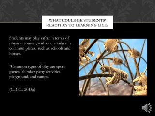Students may play safer, in terms of
physical contact, with one another in
common places, such as schools and
homes.
•Common types of play are sport
games, slumber party activities,
playground, and camps.
(C.D.C., 2013a)
WHAT COULD BE STUDENTS’
REACTION TO LEARNING LICE?
 