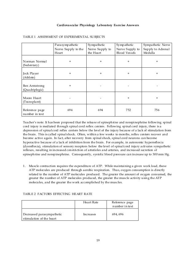 Cardiovascular Response To Exercise