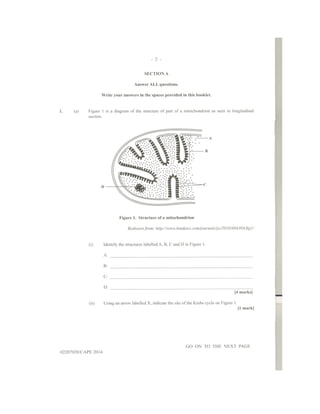 Biology Paper 2 Notes.pdf Biology unit 2 paper 2 2014 | PDF