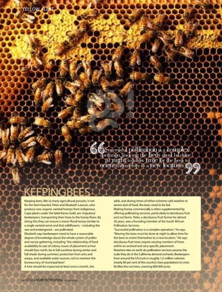Honey & Bee Feature Biology Diagrams