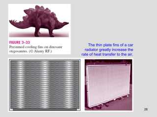 28
The thin plate fins of a car
radiator greatly increase the
rate of heat transfer to the air.
 