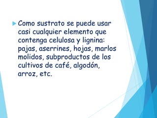  Como sustrato se puede usar
casi cualquier elemento que
contenga celulosa y lignina:
pajas, aserrines, hojas, marlos
molidos, subproductos de los
cultivos de café, algodón,
arroz, etc.
 