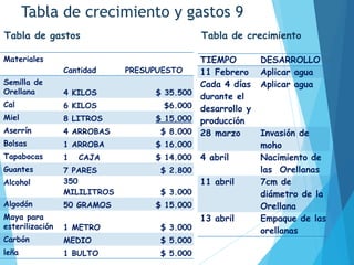 Tabla de crecimiento y gastos 9
Tabla de gastos Tabla de crecimiento
Materiales
Cantidad PRESUPUESTO
Semilla de
Orellana 4 KILOS $ 35.500
Cal 6 KILOS $6.000
Miel 8 LITROS $ 15.000
Aserrín 4 ARROBAS $ 8.000
Bolsas 1 ARROBA $ 16.000
Tapabocas 1 CAJA $ 14.000
Guantes 7 PARES $ 2.800
Alcohol 350
MILILITROS $ 3.000
Algodón 50 GRAMOS $ 15.000
Maya para
esterilización 1 METRO $ 3.000
Carbón MEDIO $ 5.000
leña 1 BULTO $ 5.000
TIEMPO DESARROLLO
11 Febrero Aplicar agua
Cada 4 días
durante el
desarrollo y
producción
Aplicar agua
28 marzo Invasión de
moho
4 abril Nacimiento de
las Orellanas
11 abril 7cm de
diámetro de la
Orellana
13 abril Empaque de las
orellanas
 