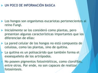  UN POCO DE INFORMACIÓN BASICA
 Los hongos son organismos eucariotas pertenecientes al
reino Fungi.
 Inicialmente se los consideró como plantas, pero
presentan algunas características importantes que los
diferencian de ellas:
 La pared celular de los hongos no está compuesta de
celulosa, como las plantas, sino de quitina.
 La quitina es un polisacárido que también forma el
exoesqueleto de los artrópodos.
 No poseen pigmentos fotosintéticos, como clorofilas,
entre otros. Por ende, no son capaces de realizar
fotosíntesis.
 