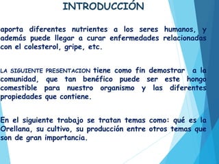 INTRODUCCIÓN
Orellana shiitake es un hongo comestible,
aporta diferentes nutrientes a los seres humanos, y
además puede llegar a curar enfermedades relacionadas
con el colesterol, gripe, etc.
LA SIGUIENTE PRESENTACION tiene como fin demostrar a la
comunidad, que tan benéfico puede ser este hongo
comestible para nuestro organismo y las diferentes
propiedades que contiene.
En el siguiente trabajo se tratan temas como: qué es la
Orellana, su cultivo, su producción entre otros temas que
son de gran importancia.
 