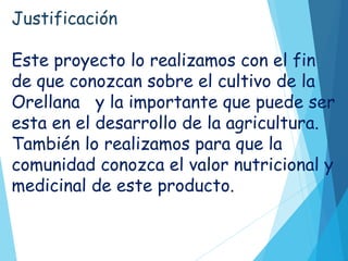 Justificación
Este proyecto lo realizamos con el fin
de que conozcan sobre el cultivo de la
Orellana y la importante que puede ser
esta en el desarrollo de la agricultura.
También lo realizamos para que la
comunidad conozca el valor nutricional y
medicinal de este producto.
 