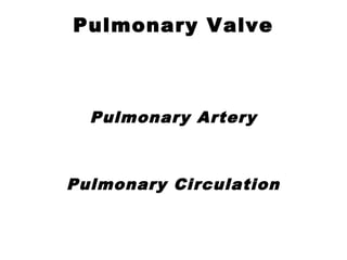 Pulmonary Valve
Pulmonary Artery
Pulmonary Circulation
 