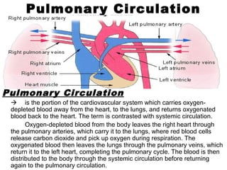 Pulmonary Circulation
Pulmonary Circulation
 is the portion of the cardiovascular system which carries oxygen-
depleted blood away from the heart, to the lungs, and returns oxygenated
blood back to the heart. The term is contrasted with systemic circulation.
Oxygen-depleted blood from the body leaves the right heart through
the pulmonary arteries, which carry it to the lungs, where red blood cells
release carbon dioxide and pick up oxygen during respiration. The
oxygenated blood then leaves the lungs through the pulmonary veins, which
return it to the left heart, completing the pulmonary cycle. The blood is then
distributed to the body through the systemic circulation before returning
again to the pulmonary circulation.
 
