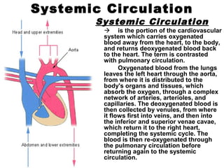 Systemic Circulation
Systemic Circulation
 is the portion of the cardiovascular
system which carries oxygenated
blood away from the heart, to the body,
and returns deoxygenated blood back
to the heart. The term is contrasted
with pulmonary circulation.
Oxygenated blood from the lungs
leaves the left heart through the aorta,
from where it is distributed to the
body's organs and tissues, which
absorb the oxygen, through a complex
network of arteries, arterioles, and
capillaries. The deoxygenated blood is
then collected by venules, from where
it flows first into veins, and then into
the inferior and superior venae cavae,
which return it to the right heart,
completing the systemic cycle. The
blood is then re-oxygenated through
the pulmonary circulation before
returning again to the systemic
circulation.
 