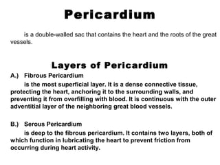 Pericardium
is a double-walled sac that contains the heart and the roots of the great
vessels.
Layers of Pericardium
A.) Fibrous Pericardium
is the most superficial layer. It is a dense connective tissue,
protecting the heart, anchoring it to the surrounding walls, and
preventing it from overfilling with blood. It is continuous with the outer
adventitial layer of the neighboring great blood vessels.
B.) Serous Pericardium
is deep to the fibrous pericardium. It contains two layers, both of
which function in lubricating the heart to prevent friction from
occurring during heart activity.
 