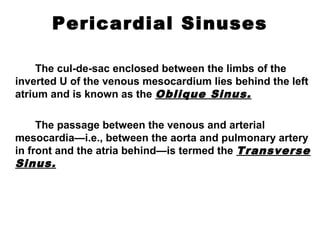 Pericardial Sinuses
The cul-de-sac enclosed between the limbs of the
inverted U of the venous mesocardium lies behind the left
atrium and is known as the Oblique Sinus.
The passage between the venous and arterial
mesocardia—i.e., between the aorta and pulmonary artery
in front and the atria behind—is termed the Transverse
Sinus.
 