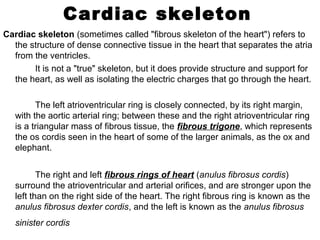 Cardiac skeleton
Cardiac skeleton (sometimes called "fibrous skeleton of the heart") refers to
the structure of dense connective tissue in the heart that separates the atria
from the ventricles.
It is not a "true" skeleton, but it does provide structure and support for
the heart, as well as isolating the electric charges that go through the heart.
The left atrioventricular ring is closely connected, by its right margin,
with the aortic arterial ring; between these and the right atrioventricular ring
is a triangular mass of fibrous tissue, the fibrous trigone, which represents
the os cordis seen in the heart of some of the larger animals, as the ox and
elephant.
The right and left fibrous rings of heart (anulus fibrosus cordis)
surround the atrioventricular and arterial orifices, and are stronger upon the
left than on the right side of the heart. The right fibrous ring is known as the
anulus fibrosus dexter cordis, and the left is known as the anulus fibrosus
sinister cordis
 