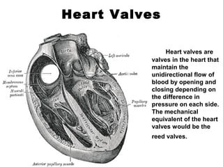 Heart Valves
Heart valves are
valves in the heart that
maintain the
unidirectional flow of
blood by opening and
closing depending on
the difference in
pressure on each side.
The mechanical
equivalent of the heart
valves would be the
reed valves.
 