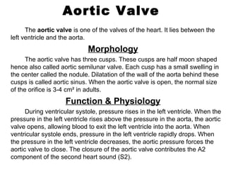 Aortic Valve
The aortic valve is one of the valves of the heart. It lies between the
left ventricle and the aorta.
Morphology
The aortic valve has three cusps. These cusps are half moon shaped
hence also called aortic semilunar valve. Each cusp has a small swelling in
the center called the nodule. Dilatation of the wall of the aorta behind these
cusps is called aortic sinus. When the aortic valve is open, the normal size
of the orifice is 3-4 cm² in adults.
Function & Physiology
During ventricular systole, pressure rises in the left ventricle. When the
pressure in the left ventricle rises above the pressure in the aorta, the aortic
valve opens, allowing blood to exit the left ventricle into the aorta. When
ventricular systole ends, pressure in the left ventricle rapidly drops. When
the pressure in the left ventricle decreases, the aortic pressure forces the
aortic valve to close. The closure of the aortic valve contributes the A2
component of the second heart sound (S2).
 