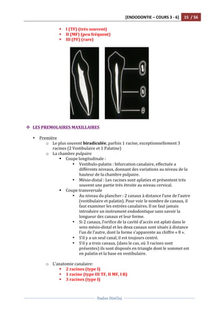 [ENDODONTIE	
  –	
  COURS	
  3	
  -­‐	
  6]	
   15	
  	
  /	
  56	
  
	
  
	
  	
  
Dadoo	
  DinCluj	
  
	
  
	
   	
  
§ I	
  (TF)	
  (très	
  souvent)	
  
§ II	
  (MF)	
  (peu	
  fréquent)	
  
§ III	
  (PF)	
  (rare)	
  
	
  	
  
	
  	
  	
  	
  	
  	
   	
  
	
  
v LES	
  PREMOLAIRES	
  MAXILLAIRES	
  
	
  
• Première	
  
o Le	
  plus	
  souvent	
  biradiculée,	
  parfois	
  1	
  racine,	
  exceptionnellement	
  3	
  
racines	
  (2	
  Vestibulaire	
  et	
  1	
  Palatine)	
  
o La	
  chambre	
  pulpaire	
  	
  
§ Coupe	
  longitudinale	
  :	
  	
  
• Vestibulo-­‐palatin	
  :	
  bifurcation	
  canalaire,	
  effectuée	
  a	
  
différents	
  niveaux,	
  donnant	
  des	
  variations	
  au	
  niveau	
  de	
  la	
  
hauteur	
  de	
  la	
  chambre	
  pulpaire.	
  	
  
• Mésio-­‐distal	
  :	
  Les	
  racines	
  sont	
  aplaties	
  et	
  présentent	
  très	
  
souvent	
  une	
  partie	
  très	
  étroite	
  au	
  niveau	
  cervical.	
  	
  
§ Coupe	
  transversale	
  	
  
• Au	
  niveau	
  du	
  plancher	
  :	
  2	
  canaux	
  à	
  distance	
  l’une	
  de	
  l’autre	
  
(vestibulaire	
  et	
  palatin).	
  Pour	
  voir	
  le	
  nombre	
  de	
  canaux,	
  il	
  
faut	
  examiner	
  les	
  entrées	
  canalaires.	
  Il	
  ne	
  faut	
  jamais	
  
introduire	
  un	
  instrument	
  endodontique	
  sans	
  savoir	
  la	
  
longueur	
  des	
  canaux	
  et	
  leur	
  forme.	
  	
  
• Si	
  2	
  canaux,	
  l’orifice	
  de	
  la	
  cavité	
  d’accès	
  est	
  aplati	
  dans	
  le	
  
sens	
  mésio-­‐distal	
  et	
  les	
  deux	
  canaux	
  sont	
  situés	
  à	
  distance	
  
l’un	
  de	
  l’autre,	
  dont	
  la	
  forme	
  s’apparente	
  au	
  chiffre	
  «	
  8	
  ».	
  
• S’il	
  y	
  a	
  un	
  seul	
  canal,	
  il	
  est	
  toujours	
  centré.	
  
• S’il	
  y	
  a	
  trois	
  canaux,	
  (dans	
  le	
  cas,	
  où	
  3	
  racines	
  sont	
  
présentes)	
  ils	
  sont	
  disposés	
  en	
  triangle	
  dont	
  le	
  sommet	
  est	
  
en	
  palatin	
  et	
  la	
  base	
  en	
  vestibulaire.	
  	
  
	
  
o L’anatomie	
  canalaire:	
  	
  
§ 2	
  racines	
  (type	
  I)	
  	
  
§ 1	
  racine	
  (type	
  III	
  TF,	
  II	
  MF,	
  I	
  R)	
  	
  
§ 3	
  racines	
  (type	
  I)	
  
 
