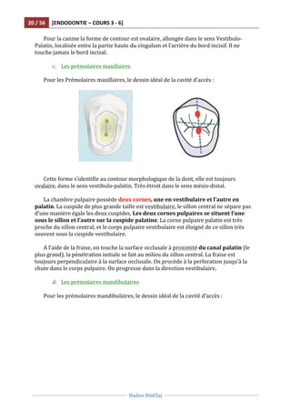 20	
  /	
  56	
   [ENDODONTIE	
  –	
  COURS	
  3	
  -­‐	
  6]	
  
	
  
	
  	
  
Dadoo	
  DinCluj	
  
	
  
	
   	
  
Pour	
  la	
  canine	
  la	
  forme	
  de	
  contour	
  est	
  ovalaire,	
  allongée	
  dans	
  le	
  sens	
  Vestibulo-­‐
Palatin,	
  localisée	
  entre	
  la	
  partie	
  haute	
  du	
  cingulum	
  et	
  l’arrière	
  du	
  bord	
  incisif.	
  Il	
  ne	
  
touche	
  jamais	
  le	
  bord	
  incisal.	
  	
  
	
  
c. Les	
  prémolaires	
  maxillaires	
  
	
  
Pour	
  les	
  Prémolaires	
  maxillaires,	
  le	
  dessin	
  idéal	
  de	
  la	
  cavité	
  d’accès	
  :	
  
	
  
	
  	
  	
  	
  	
  	
  	
  	
  	
  	
  	
  	
  	
  	
  	
  	
  	
  	
  	
  	
  	
  	
  	
  	
  	
  	
  	
  	
  	
   	
  
	
  
	
  
Cette	
  forme	
  s’identifie	
  au	
  contour	
  morphologique	
  de	
  la	
  dent,	
  elle	
  est	
  toujours	
  
ovalaire,	
  dans	
  le	
  sens	
  vestibulo-­‐palatin.	
  Très	
  étroit	
  dans	
  le	
  sens	
  mésio-­‐distal.	
  	
  
	
  
La	
  chambre	
  pulpaire	
  possède	
  deux	
  cornes,	
  une	
  en	
  vestibulaire	
  et	
  l’autre	
  en	
  
palatin.	
  La	
  cuspide	
  de	
  plus	
  grande	
  taille	
  est	
  vestibulaire,	
  le	
  sillon	
  central	
  ne	
  sépare	
  pas	
  
d’une	
  manière	
  égale	
  les	
  deux	
  cuspides.	
  Les	
  deux	
  cornes	
  pulpaires	
  se	
  situent	
  l’une	
  
sous	
  le	
  sillon	
  et	
  l’autre	
  sur	
  la	
  cuspide	
  palatine.	
  La	
  corne	
  pulpaire	
  palatin	
  est	
  très	
  
proche	
  du	
  sillon	
  central,	
  et	
  le	
  corps	
  pulpaire	
  vestibulaire	
  est	
  éloigné	
  de	
  ce	
  sillon	
  très	
  
souvent	
  sous	
  la	
  cuspide	
  vestibulaire.	
  	
  
	
  
A	
  l’aide	
  de	
  la	
  fraise,	
  on	
  touche	
  la	
  surface	
  occlusale	
  à	
  proximité	
  du	
  canal	
  palatin	
  (le	
  
plus	
  grand),	
  la	
  pénétration	
  initiale	
  se	
  fait	
  au	
  milieu	
  du	
  sillon	
  central.	
  La	
  fraise	
  est	
  
toujours	
  perpendiculaire	
  à	
  la	
  surface	
  occlusale.	
  On	
  procède	
  à	
  la	
  perforation	
  jusqu’à	
  la	
  
chute	
  dans	
  le	
  corps	
  pulpaire.	
  On	
  progresse	
  dans	
  la	
  direction	
  vestibulaire,	
  	
  
	
  
d. Les	
  prémolaires	
  mandibulaires	
  	
  
	
  
Pour	
  les	
  prémolaires	
  mandibulaires,	
  le	
  dessin	
  idéal	
  de	
  la	
  cavité	
  d’accès	
  :	
  
	
  
 