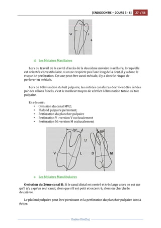 [ENDODONTIE	
  –	
  COURS	
  3	
  -­‐	
  6]	
   27	
  	
  /	
  56	
  
	
  
	
  	
  
Dadoo	
  DinCluj	
  
	
  
	
   	
  
	
  
	
  
d. Les	
  Molaires	
  Maxillaires	
  	
  
	
  
Lors	
  du	
  travail	
  de	
  la	
  cavité	
  d’accès	
  de	
  la	
  deuxième	
  molaire	
  maxillaire,	
  lorsqu’elle	
  
est	
  orientée	
  en	
  vestibulaire,	
  si	
  on	
  ne	
  respecte	
  pas	
  l’axe	
  long	
  de	
  la	
  dent,	
  il	
  y	
  a	
  donc	
  le	
  
risque	
  de	
  perforation.	
  Cet	
  axe	
  peut	
  être	
  aussi	
  mésiale,	
  il	
  y	
  a	
  donc	
  le	
  risque	
  de	
  
perforer	
  en	
  mésiale.	
  	
  
	
   	
  
	
   Lors	
  de	
  l’élimination	
  du	
  toit	
  pulpaire,	
  les	
  entrées	
  canalaires	
  devraient	
  être	
  reliées	
  
par	
  des	
  sillons	
  foncés,	
  c’est	
  le	
  meilleur	
  moyen	
  de	
  vérifier	
  l’élimination	
  totale	
  du	
  toit	
  
pulpaire.	
  	
  
	
  
	
   En	
  résumé	
  :	
  
• Omission	
  du	
  canal	
  MV2;	
  	
  
• Plafond	
  pulpaire	
  persistant;	
  	
  
• Perforation	
  du	
  plancher	
  pulpaire	
  	
  
• Perforation	
  V	
  :	
  version	
  V	
  occlusalement	
  
• Perforation	
  M:	
  version	
  M	
  occlusalement	
  
	
  
	
  
	
  
e. Les	
  Molaires	
  Mandibulaires	
  
	
  
Omission	
  du	
  2ème	
  canal	
  D.	
  Si	
  le	
  canal	
  distal	
  est	
  centré	
  et	
  très	
  large	
  alors	
  on	
  est	
  sur	
  
qu’il	
  n’y	
  a	
  qu’un	
  seul	
  canal,	
  alors	
  que	
  s’il	
  est	
  petit	
  et	
  excentré,	
  alors	
  on	
  cherche	
  le	
  
deuxième	
  
	
  
Le	
  plafond	
  pulpaire	
  peut	
  être	
  persistant	
  et	
  la	
  perforation	
  du	
  plancher	
  pulpaire	
  sont	
  à	
  
éviter.	
  	
  
 