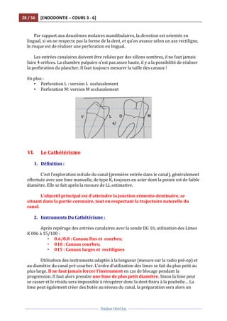 28	
  /	
  56	
   [ENDODONTIE	
  –	
  COURS	
  3	
  -­‐	
  6]	
  
	
  
	
  	
  
Dadoo	
  DinCluj	
  
	
  
	
   	
  
	
  
Par	
  rapport	
  aux	
  deuxièmes	
  molaires	
  mandibulaires,	
  la	
  direction	
  est	
  orientée	
  en	
  
lingual,	
  si	
  on	
  ne	
  respecte	
  pas	
  la	
  forme	
  de	
  la	
  dent,	
  et	
  qu’on	
  avance	
  selon	
  un	
  axe	
  rectiligne,	
  
le	
  risque	
  est	
  de	
  réaliser	
  une	
  perforation	
  en	
  lingual.	
  	
  
	
  
Les	
  entrées	
  canalaires	
  doivent	
  être	
  reliées	
  par	
  des	
  sillons	
  sombres,	
  il	
  ne	
  faut	
  jamais	
  
faire	
  4	
  orifices.	
  La	
  chambre	
  pulpaire	
  n’est	
  pas	
  assez	
  haute,	
  il	
  y	
  a	
  la	
  possibilité	
  de	
  réaliser	
  
la	
  perforation	
  du	
  plancher.	
  Il	
  faut	
  toujours	
  mesurer	
  la	
  taille	
  des	
  canaux	
  !	
  
	
  
En	
  plus	
  :	
  
• Perforation	
  L	
  :	
  version	
  L	
  	
  occlusalement	
  
• Perforation	
  M:	
  version	
  M	
  occlusalement	
  
	
  
	
  
	
  
	
  
VI. Le	
  Cathétérisme	
  	
  
	
  
1. Définition	
  :	
  
	
  
C’est	
  l’exploration	
  initiale	
  du	
  canal	
  (première	
  entrée	
  dans	
  le	
  canal),	
  généralement	
  
effectuée	
  avec	
  une	
  lime	
  manuelle,	
  de	
  type	
  K,	
  toujours	
  en	
  acier	
  dont	
  la	
  pointe	
  est	
  de	
  faible	
  
diamètre.	
  Elle	
  se	
  fait	
  après	
  la	
  mesure	
  de	
  LL	
  estimative.	
  	
  
	
  
L'objectif	
  principal	
  est	
  d'atteindre	
  la	
  jonction	
  cémento-­‐dentinaire,	
  se	
  
situant	
  dans	
  la	
  partie	
  coronaire,	
  tout	
  en	
  respectant	
  la	
  trajectoire	
  naturelle	
  du	
  
canal.	
  	
  
	
  
2. Instruments	
  Du	
  Cathétérisme	
  :	
  
	
  
Après	
  repérage	
  des	
  entrées	
  canalaires	
  avec	
  la	
  sonde	
  DG	
  16,	
  utilisation	
  des	
  Limes	
  
K	
  006	
  à	
  15/100	
  :	
  
• 0.6/0.8	
  :	
  Canaux	
  fins	
  et	
  	
  courbes;	
  	
  
• 010	
  :	
  Canaux	
  courbes;	
  	
  
• 015	
  :	
  Canaux	
  larges	
  et	
  	
  rectilignes	
  
	
  
Utilisation	
  des	
  instruments	
  adaptés	
  à	
  la	
  longueur	
  (mesure	
  sur	
  la	
  radio	
  pré-­‐op)	
  et	
  
au	
  diamètre	
  du	
  canal	
  pré-­‐courber.	
  L’ordre	
  d’utilisation	
  des	
  limes	
  se	
  fait	
  du	
  plus	
  petit	
  au	
  
plus	
  large.	
  Il	
  ne	
  faut	
  jamais	
  forcer	
  l'instrument	
  en	
  cas	
  de	
  blocage	
  pendant	
  la	
  
progression.	
  Il	
  faut	
  alors	
  prendre	
  une	
  lime	
  de	
  plus	
  petit	
  diamètre.	
  Sinon	
  la	
  lime	
  peut	
  
se	
  casser	
  et	
  le	
  résidu	
  sera	
  impossible	
  à	
  récupérer	
  donc	
  la	
  dent	
  finira	
  à	
  la	
  poubelle…	
  La	
  
lime	
  peut	
  également	
  créer	
  des	
  butés	
  au	
  niveau	
  du	
  canal,	
  la	
  préparation	
  sera	
  alors	
  un	
  
 
