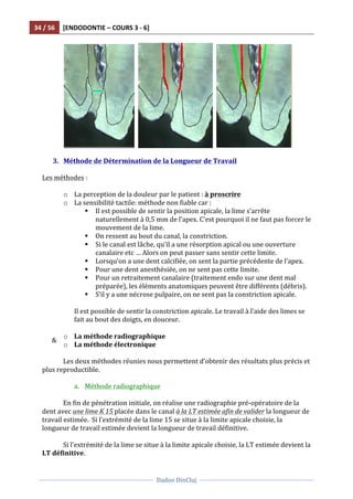 34	
  /	
  56	
   [ENDODONTIE	
  –	
  COURS	
  3	
  -­‐	
  6]	
  
	
  
	
  	
  
Dadoo	
  DinCluj	
  
	
  
	
   	
  
	
  	
   	
  	
   	
  	
   	
  
	
  
3. Méthode	
  de	
  Détermination	
  de	
  la	
  Longueur	
  de	
  Travail	
  
	
  
Les	
  méthodes	
  :	
  
	
  
o La	
  perception	
  de	
  la	
  douleur	
  par	
  le	
  patient	
  :	
  à	
  proscrire	
  
o La	
  sensibilité	
  tactile:	
  méthode	
  non	
  fiable	
  car	
  :	
  
§ Il	
  est	
  possible	
  de	
  sentir	
  la	
  position	
  apicale,	
  la	
  lime	
  s’arrête	
  
naturellement	
  à	
  0,5	
  mm	
  de	
  l’apex.	
  C’est	
  pourquoi	
  il	
  ne	
  faut	
  pas	
  forcer	
  le	
  
mouvement	
  de	
  la	
  lime.	
  	
  
§ On	
  ressent	
  au	
  bout	
  du	
  canal,	
  la	
  constriction.	
  	
  
§ Si	
  le	
  canal	
  est	
  lâche,	
  qu’il	
  a	
  une	
  résorption	
  apical	
  ou	
  une	
  ouverture	
  
canalaire	
  etc	
  …	
  Alors	
  on	
  peut	
  passer	
  sans	
  sentir	
  cette	
  limite.	
  	
  
§ Lorsqu’on	
  a	
  une	
  dent	
  calcifiée,	
  on	
  sent	
  la	
  partie	
  précédente	
  de	
  l’apex.	
  	
  
§ Pour	
  une	
  dent	
  anesthésiée,	
  on	
  ne	
  sent	
  pas	
  cette	
  limite.	
  	
  
§ Pour	
  un	
  retraitement	
  canalaire	
  (traitement	
  endo	
  sur	
  une	
  dent	
  mal	
  
préparée),	
  les	
  éléments	
  anatomiques	
  peuvent	
  être	
  différents	
  (débris).	
  	
  
§ S’il	
  y	
  a	
  une	
  nécrose	
  pulpaire,	
  on	
  ne	
  sent	
  pas	
  la	
  constriction	
  apicale.	
  	
  
	
  
Il	
  est	
  possible	
  de	
  sentir	
  la	
  constriction	
  apicale.	
  Le	
  travail	
  à	
  l’aide	
  des	
  limes	
  se	
  
fait	
  au	
  bout	
  des	
  doigts,	
  en	
  douceur.	
  	
  
	
  
o La	
  méthode	
  radiographique	
  
o La	
  méthode	
  électronique	
  
	
  
Les	
  deux	
  méthodes	
  réunies	
  nous	
  permettent	
  d’obtenir	
  des	
  résultats	
  plus	
  précis	
  et	
  
plus	
  reproductible.	
  
	
  
a. Méthode	
  radiographique	
  
	
  
En	
  fin	
  de	
  pénétration	
  initiale,	
  on	
  réalise	
  une	
  radiographie	
  pré-­‐opératoire	
  de	
  la	
  
dent	
  avec	
  une	
  lime	
  K	
  15	
  placée	
  dans	
  le	
  canal	
  à	
  la	
  LT	
  estimée	
  afin	
  de	
  valider	
  la	
  longueur	
  de	
  
travail	
  estimée.	
  	
  Si	
  l’extrémité	
  de	
  la	
  lime	
  15	
  se	
  situe	
  à	
  la	
  limite	
  apicale	
  choisie,	
  la	
  
longueur	
  de	
  travail	
  estimée	
  devient	
  la	
  longueur	
  de	
  travail	
  définitive.	
  	
  
	
  
Si	
  l'extrémité	
  de	
  la	
  lime	
  se	
  situe	
  à	
  la	
  limite	
  apicale	
  choisie,	
  la	
  LT	
  estimée	
  devient	
  la	
  
LT	
  définitive.	
  
&	
  
 