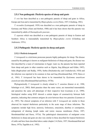 Literature review
8
2.5.1 Non pathogenic Theileria species of sheep and goats
T. ovis has been described as a non pathogenic parasite of sheep and goats in Africa,
Europe and Asia and is transmitted by Rhipicephalus evertsi (Neitz, 1957; Uilenberg, 1981).
T. recondita (Lestoquard, 1929) was described as a non pathogenic parasite of sheep in
Germany and Wales (Alani and Herbert, 1988) and it has been shown that this parasite was
transmitted by adults of Haemaphysalis punctata .
T. separata which was described as a non pathogenic parasite of sheep in Eastern and
Southern Africa is transstadially transmitted by Rhipicephalus evertsi (Uilenberg and
Andreasen, 1974.)
2.5.2 Pathogenic Theileria species in sheep and goats
2.5.2.1 Theileria lestoquardi
T. lestoquardi is a tick-borne protozoan parasite highly pathogenic for sheep. The disease
caused by the pathogen is known as malignant theileriosis of sheep and goats, the disease was
first described by a team of veterinarians in Egypt. Later on, the parasite has been reported
from sheep and goats in other countries such as Algeria, Iraq (Khayyat and Gilder, 1947),
India (Raghvachari and Reddy, 1959), Serbia (Dschunkovsky and Urodschevich, 1924) and
the infection was reported to be common in Iran and Iraq (Hooshmand-Rad, 1974; Hawa et
al., 1981). T. lestoquardi has been shown to be transmitted by Hyalomma anatolicum
anatolicum ticks (Hooshmand-Rad and Hawa, 1973b).
Phylogenetically T. lestoquardi is closely related to T. annulata (Katzer et al., 1998;
Schnittger et al., 2003). Both parasites share the same vector, are transmitted transstadially
and parasitize the same cell phenotype of their respective host (Leemans et al., 1999).
Serological studies using IFAT showed a certain degree of cossreactivity between both
parasites, indicating that common antigens do exist between these two parasites (Leemans et
al., 1997). The clinical symptoms of an infection with T. lestoquardi are similar to those
observed for tropical theileriosis particularly in the acute stage of these infections. The
symptoms include high fever, anorexia, listlessness, emaciation, diarrhea or constipation,
enlargement of draining lymph nodes and icteric mucous membranes (Neitz, 1957,
Hooshmand-Rad and Hawa, 1973a). The pathological characteristics of malignant ovine
theileriosis in sheep and goats are also very similar to those described for tropical theileriosis
of cattle and have been described above under chapter 2.4 (Neitz, 1957; Hooshmand-Rad and
Hawa, 1973a; Tageldin et al., 1992).
 