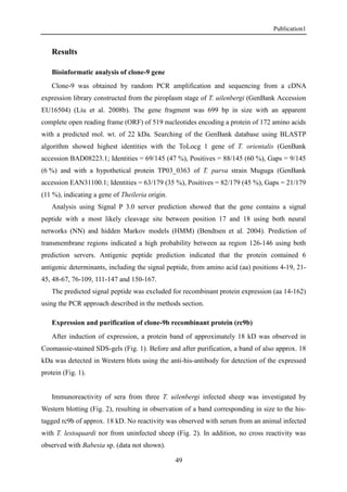 Publication1
49
Results
Bioinformatic analysis of clone-9 gene
Clone-9 was obtained by random PCR amplification and sequencing from a cDNA
expression library constructed from the piroplasm stage of T. uilenbergi (GenBank Accession
EU16504) (Liu et al. 2008b). The gene fragment was 699 bp in size with an apparent
complete open reading frame (ORF) of 519 nucleotides encoding a protein of 172 amino acids
with a predicted mol. wt. of 22 kDa. Searching of the GenBank database using BLASTP
algorithm showed highest identities with the ToLocg 1 gene of T. orientalis (GenBank
accession BAD08223.1; Identities = 69/145 (47 %), Positives = 88/145 (60 %), Gaps = 9/145
(6 %) and with a hypothetical protein TP03_0363 of T. parva strain Muguga (GenBank
accession EAN31100.1; Identities = 63/179 (35 %), Positives = 82/179 (45 %), Gaps = 21/179
(11 %), indicating a gene of Theileria origin.
Analysis using Signal P 3.0 server prediction showed that the gene contains a signal
peptide with a most likely cleavage site between position 17 and 18 using both neural
networks (NN) and hidden Markov models (HMM) (Bendtsen et al. 2004). Prediction of
transmembrane regions indicated a high probability between aa region 126-146 using both
prediction servers. Antigenic peptide prediction indicated that the protein contained 6
antigenic determinants, including the signal peptide, from amino acid (aa) positions 4-19, 21-
45, 48-67, 76-109, 111-147 and 150-167.
The predicted signal peptide was excluded for recombinant protein expression (aa 14-162)
using the PCR approach described in the methods section.
Expression and purification of clone-9b recombinant protein (rc9b)
After induction of expression, a protein band of approximately 18 kD was observed in
Coomassie-stained SDS-gels (Fig. 1). Before and after purification, a band of also approx. 18
kDa was detected in Western blots using the anti-his-antibody for detection of the expressed
protein (Fig. 1).
Immunoreactivity of sera from three T. uilenbergi infected sheep was investigated by
Western blotting (Fig. 2), resulting in observation of a band corresponding in size to the his-
tagged rc9b of approx. 18 kD. No reactivity was observed with serum from an animal infected
with T. lestoquardi nor from uninfected sheep (Fig. 2). In addition, no cross reactivity was
observed with Babesia sp. (data not shown).
 
