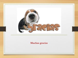 Muchas gracias
 