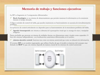 Memoria de trabajo y funciones ejecutivas
La MT se fragmenta en 3 componentes diferenciados:
 Bucle fonológico: es un sistema de almacenamiento que permite mantener la información en la conciencia
durante el tiempo deseado.
Códigos centrales de control de habla, que pueden mantenerse en funcionamiento en ausencia de retroalimentación
periférica.
Los procesos de control articulatorio no dependen para su funcionamiento de la musculatura periférica del habla.
 Agenda visuoespacial: este sistema se alimenta de la percepción visual que se encarga de crear y manipular
imágenes.
Parece probable que presente un sistema de múltiples facetas con dimensiones tanto visuales como espaciales. O
bien dos sistemas independientes con localizaciones anatómicas diferenciadas en el cerebro.
 sistema ejecutivo central: funciona mas como un sistema atencional que como un almacén de información.
El termino MT es un nombre inapropiado, que refleja el hecho de que el modelo evoluciono del concepto mas
limitado de MCP Ya que este sistema depende de manera crucial de los sistemas de control atencional.
 