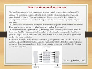 Sistema atencional supervisor
Norman y Shallice, 1982
Modelo de control atencional en cuanto a la acción. Señala una relación entre la atención
dirigida y la acción que corresponde a las áreas frontales y la atención perceptiva, a áreas
posteriores de la corteza. También propone un sistema estructurado. Se compone de:
1. Esquemas: Son actividades automáticas producto del aprendizaje y la práctica, dirigidas a
una meta.
2. Dirimidos de conflictos: Se encarga de la elección del esquema si varios entran a competir.
Elige aquel esquema que supera a los demás en el umbral de activación..
3. Sistema atencional supervisor (SAS). Se encarga de las acciones que no son de rutina. Es
lento pero flexible, y tiene capacidad limitada. No selecciona las respuestas Su función es
planear e inspeccionar la ejecución de las tareas, lo que tiene una representación general del
medio y los objetivos finales.
En realidad, cualquier actividad automática o no, puede ponerse bajo control consciente y
deliberado, pudiendo inhibir ciertas acciones y desarrollar otras. El modelo ofrece respuestas
para tratar de comprender algunas de las alteraciones de la atención más habituales después
de una lesión cerebral.
 