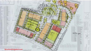 Structural/irrigation/cost
 
