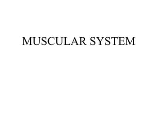 MUSCULAR SYSTEM
 