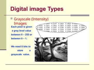 Grayscale Levels Distance measures in Image in Digital Image Processing | PPTX