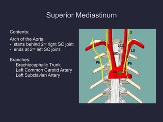 Superior Mediastinum Contents: Arch of the Aorta -  starts behind 2 nd  right SC joint -  ends at 2 nd  left SC joint Branches: Brachiocephalic Trunk Left Common Carotid Artery Left Subclavian Artery 