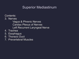 Superior Mediastinum Contents: 3.  Nerves Vagus & Phrenic Nerves Cardiac Plexus of Nerves Left Recurrent Laryngeal Nerve 4.  Trachea 5.  Esophagus 6.  Thoracic Duct 7.  Prevertebral Muscles 