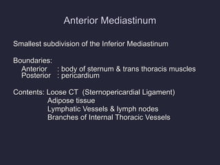 Anterior Mediastinum Smallest subdivision of the Inferior Mediastinum Boundaries: Anterior : body of sternum & trans thoracis muscles  Posterior : pericardium  Contents: Loose CT  (Sternopericardial Ligament)   Adipose tissue   Lymphatic Vessels & lymph nodes   Branches of Internal Thoracic Vessels 