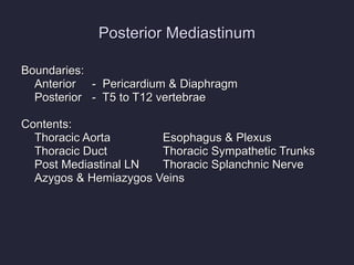 Posterior Mediastinum Boundaries: Anterior -  Pericardium & Diaphragm Posterior -  T5 to T12 vertebrae Contents: Thoracic Aorta Esophagus & Plexus Thoracic Duct Thoracic Sympathetic Trunks Post Mediastinal LN Thoracic Splanchnic Nerve Azygos & Hemiazygos Veins 