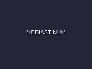 MEDIASTINUM 