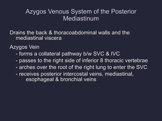 Azygos Venous System of the Posterior Mediastinum Drains the back & thoracoabdominal walls and the mediastinal viscera Azygos Vein - forms a collateral pathway b/w SVC & IVC - passes to the right side of inferior 8 thoracic vertebrae - arches over the root of the right lung to enter the SVC - receives posterior intercostal veins, mediastinal, esophageal & bronchial veins 