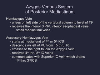 Azygos Venous System  of Posterior Mediastinum Hemiazygos Vein - arises on left side of the vertebral column to level of T9 - receives the inferior 3 PIV, inferior esophageal veins, small mediastinal veins Accessory Hemiazygos Vein - starts at medial end of 4 th  or 5 th  ICS  - descends on left of VC from T5 thru T8  - crosses to the right to join the Azygos Vein - receives 4 th  thru 8 th  IC Veins - communicates with Superior IC Vein which drains  1 st  thru 3 rd  ICS 