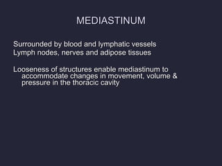 MEDIASTINUM Surrounded by blood and lymphatic vessels Lymph nodes, nerves and adipose tissues Looseness of structures enable mediastinum to accommodate changes in movement, volume & pressure in the thoracic cavity 