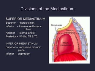 Divisions of the Mediastinum SUPERIOR MEDIASTINUM Superior  -  thoracic inlet Inferior  -  transverse thoracic plane Anterior  -  sternal angle Posterior -  IV disc T4 & T5 INFERIOR MEDIASTINUM Superior – transverse thoracic      plane Inferior  -  diaphragm 