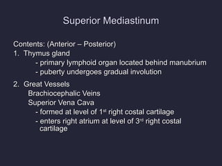 Superior Mediastinum Contents: (Anterior – Posterior) 1.  Thymus gland - primary lymphoid organ located behind manubrium - puberty undergoes gradual involution 2.  Great Vessels Brachiocephalic Veins Superior Vena Cava - formed at level of 1 st  right costal cartilage  - enters right atrium at level of 3 rd  right costal   cartilage 