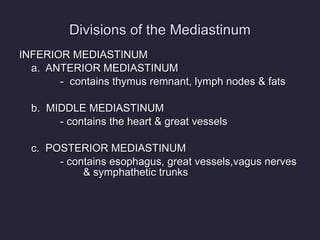 Divisions of the Mediastinum INFERIOR MEDIASTINUM a.  ANTERIOR MEDIASTINUM   -  contains thymus remnant, lymph nodes & fats b.  MIDDLE MEDIASTINUM   - contains the heart & great vessels c.  POSTERIOR MEDIASTINUM   - contains esophagus, great vessels,vagus nerves & symphathetic trunks 