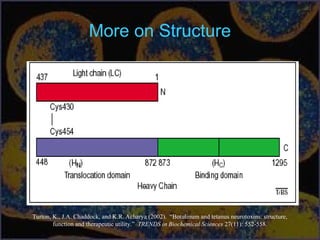 More on Structure
Turton, K., J.A. Chaddock, and K.R. Acharya (2002). “Botulinum and tetanus neurotoxins: structure,
function and therapeutic utility.” TRENDS in Biochemical Sciences 27(11): 552-558.
 