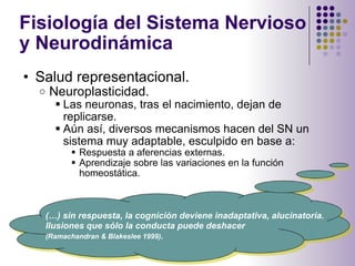 Fisiología del Sistema Nervioso y Neurodinámica  <ul><ul><li>Salud representacional. </li></ul></ul><ul><ul><ul><li>Neurop...
