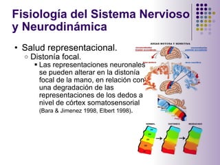 Fisiología del Sistema Nervioso y Neurodinámica  <ul><ul><li>Salud representacional. </li></ul></ul><ul><ul><ul><li>Diston...