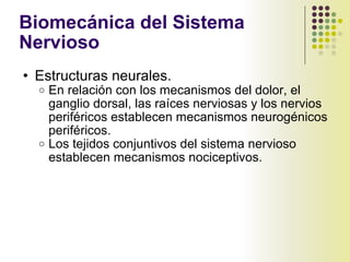 Biomecánica del Sistema Nervioso  <ul><ul><li>Estructuras neurales. </li></ul></ul><ul><ul><ul><li>En relación con los mec...