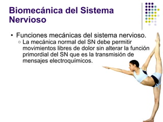 Biomecánica del Sistema Nervioso  <ul><ul><li>Funciones mecánicas del sistema nervioso. </li></ul></ul><ul><ul><ul><li>La ...